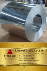 Galvanized Steel Coils