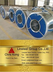 Galvanized steel coil