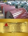 Prepainted Galvanized Steel Coil & Galvanized Coil 3