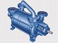Two Stage Vacuum Pumps 1