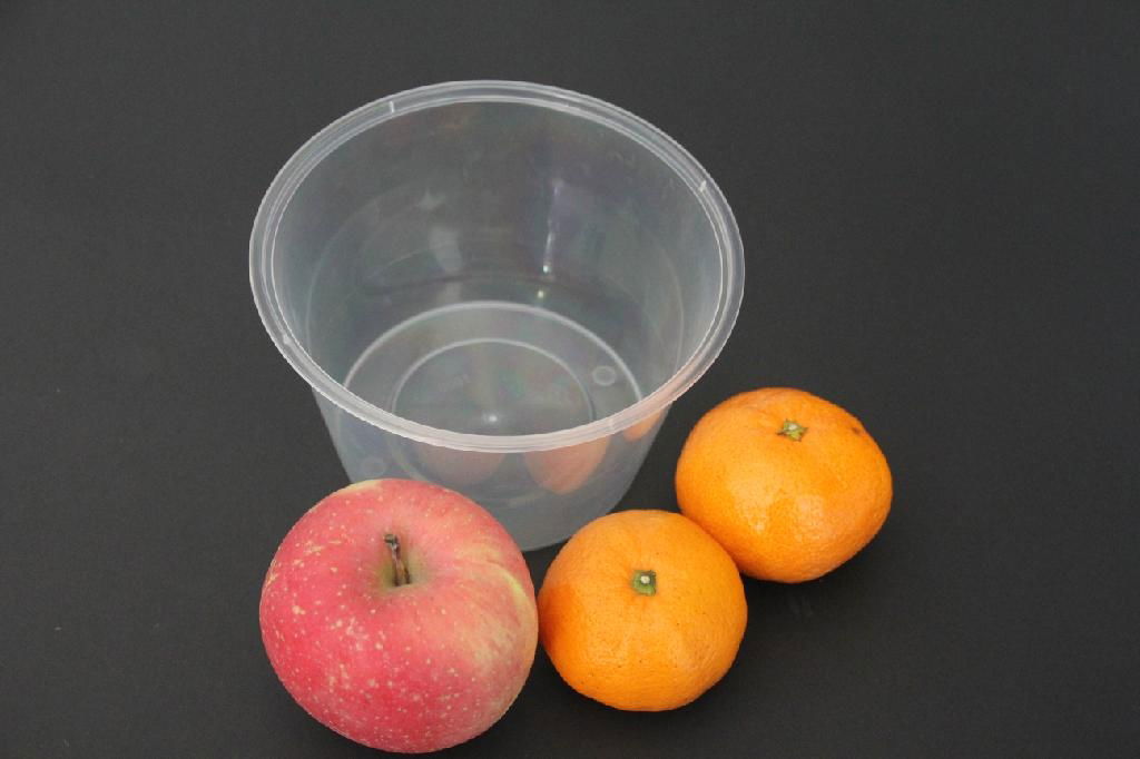 Plastic Food Container Can Be Takenaway  4