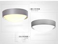  LED CEILING  MOUNTED  LIGHT   1