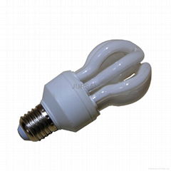 compact fluorescent  