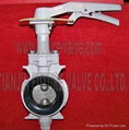 Aluminum Body Butterfly Valve Two Stem