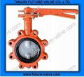 Lug Type Butterfly Valve with Two Stems