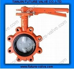 Lug Type Butterfly Valve with Two Stems Pinless (D71X)