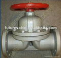 PTFE-Lining Diaphragm Valve