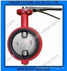 Butterfly Valve with Two Stemsd71X