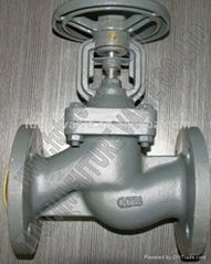 DIN3352 F1 Pn16 Dn50 Cast Iron Flanged Globe Valve