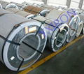 galvanized steel coil 1