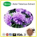  Aster tataricus Extract