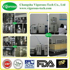 Changsha Vigorous-Tech Co.,Ltd