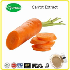 Free sample High quality Carrot Extract
