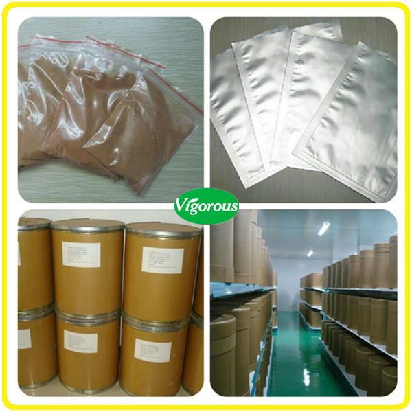 Free sample High quality Carrot Extract 2