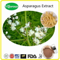 Asparagus Root Extract