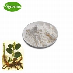 Pure Natural Low PAHs Resveratrol Powder