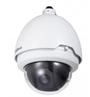 700tvl High Speed Dome CCTV Icr PTZ CMOS