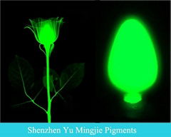 Strontium Aluminate based Glow in Dark Pigments