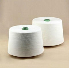 Nilton Competitive Price 100% Polyester Yarn