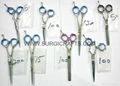 Razor Edge Scissors (5", 5.5", 6", 6.5")