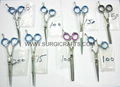 Razor Edge Scissors (5", 5.5", 6", 6.5") available in stock about 15,000 pcs 3