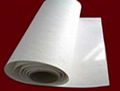 Ceramic fiber paper 1