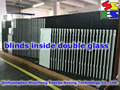 Insulating glass with inserted blinds