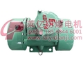 BZD氫氣乙炔用防爆振動電機
