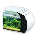 LED Desk Top Aquarium 1