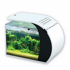 LED Desk Top Aquarium