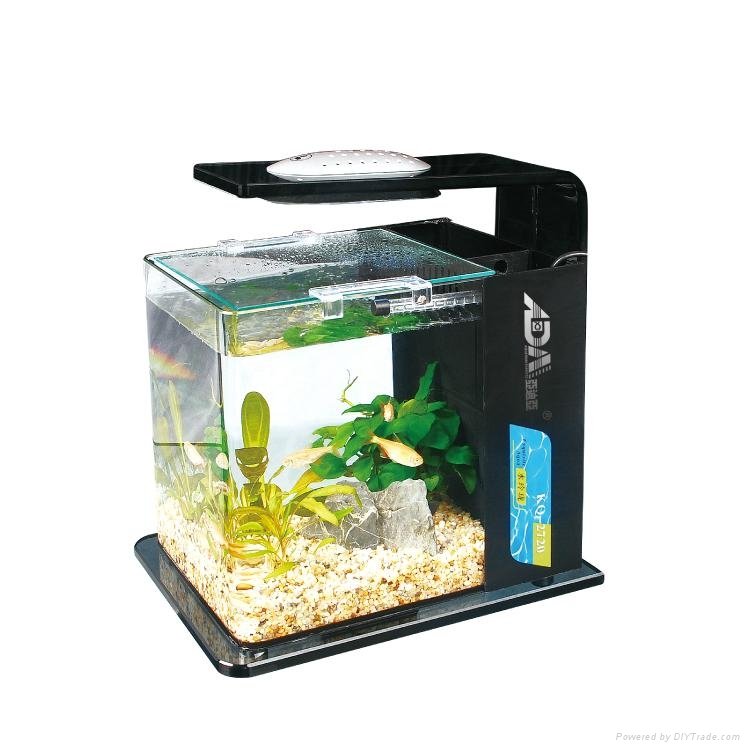 MINI desktop aquarium