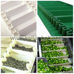 PVC Conveyor belting with skirt sidewalls, cleats