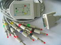 Schiller compatible 10-lead EKG Cable