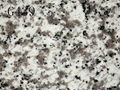 China grey granite G439