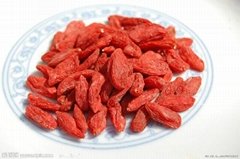 Dried Goji Berry Supply from Ningxia China 250 pcs/50g