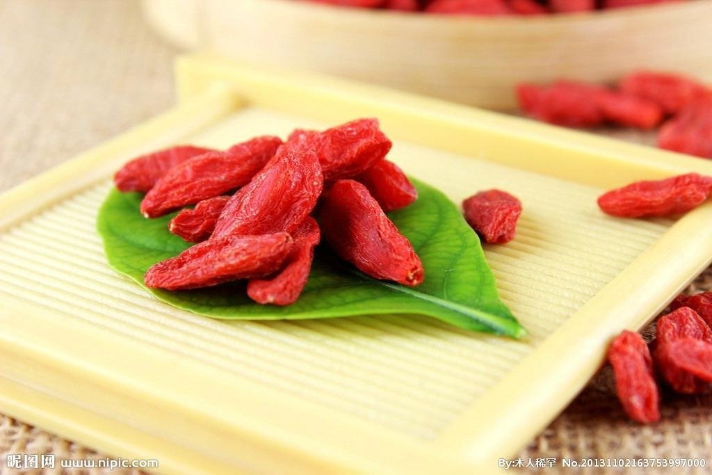 Goji Berry Supply from Ningxia Zhengyuan 