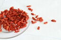 Dried Goji Berry Supply from Ningxia