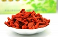 Dried Goji Berry Supply from Ningxia