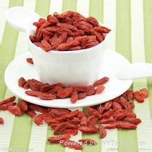 Healthy Organic Goji Berries from Ningxia