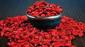 Goji Berry Superfruit from Ningxia China 1