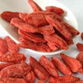 Goji Berry Superfruit from Ningxia China 3