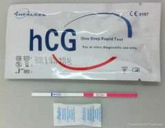 Urine Pregnancy Test Strip