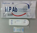 H.Pylori Antibody One Step Rapid Test 1