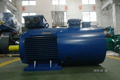 Y2VP Series Inverter Motors