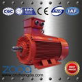 Y2X Series Low Voltage Big Power Motors 2