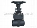 Gate valve 1