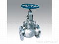 globe valve