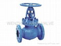 globe valve 2