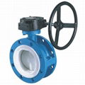 butterfly valve 1