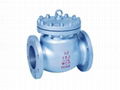 Swing Check Valve